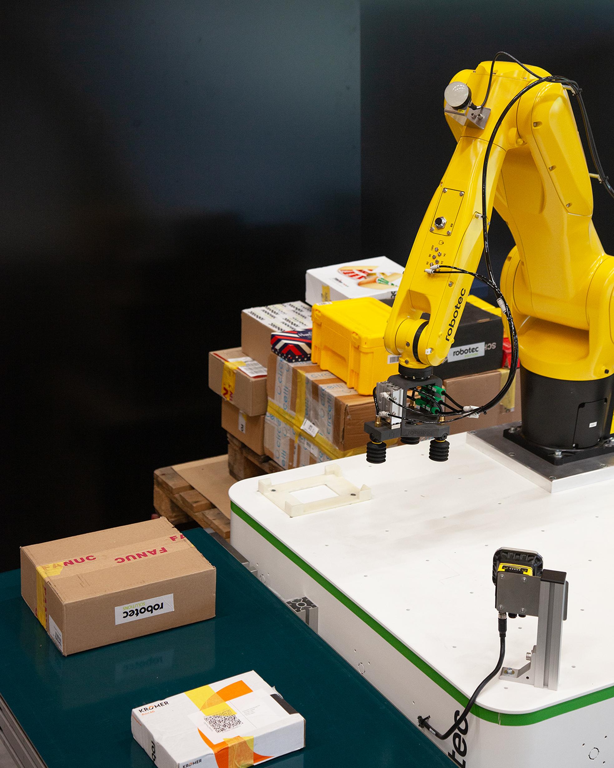 Bild von Tempo und Kontrolle für den Wareneingang: automatisches Depalettieren mit 3D-Vision und KI