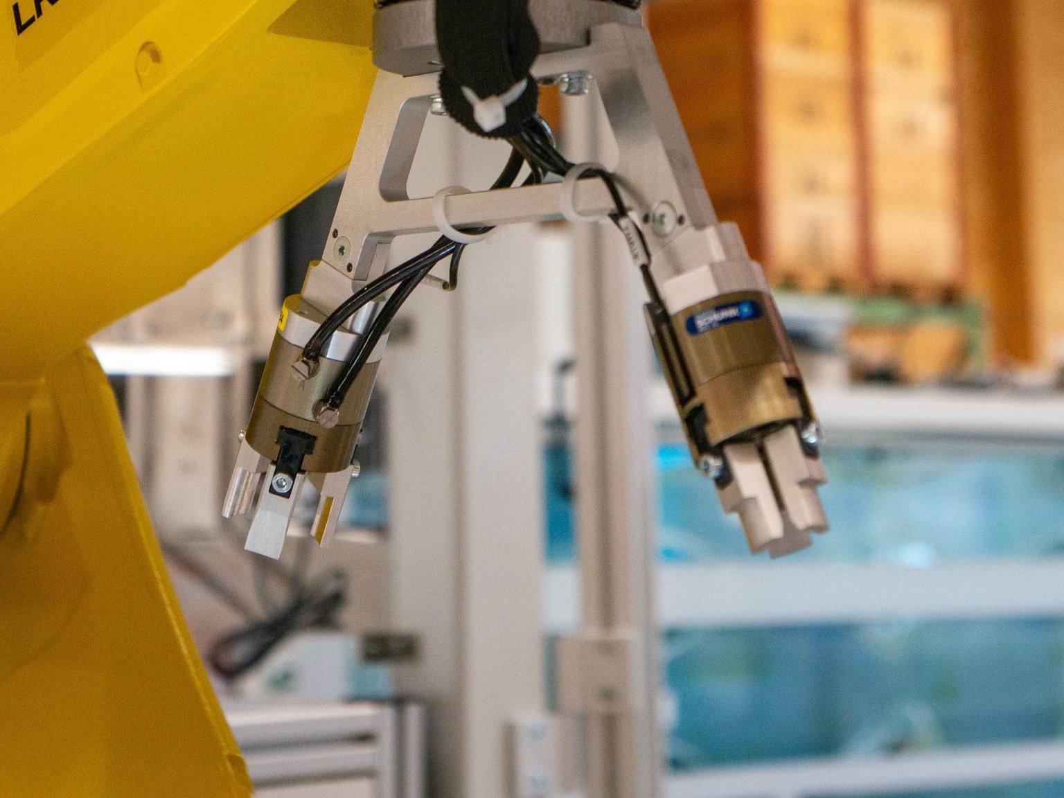 Bild von Mit Roboter die Effizienz der Spritzgiessmaschine steigern