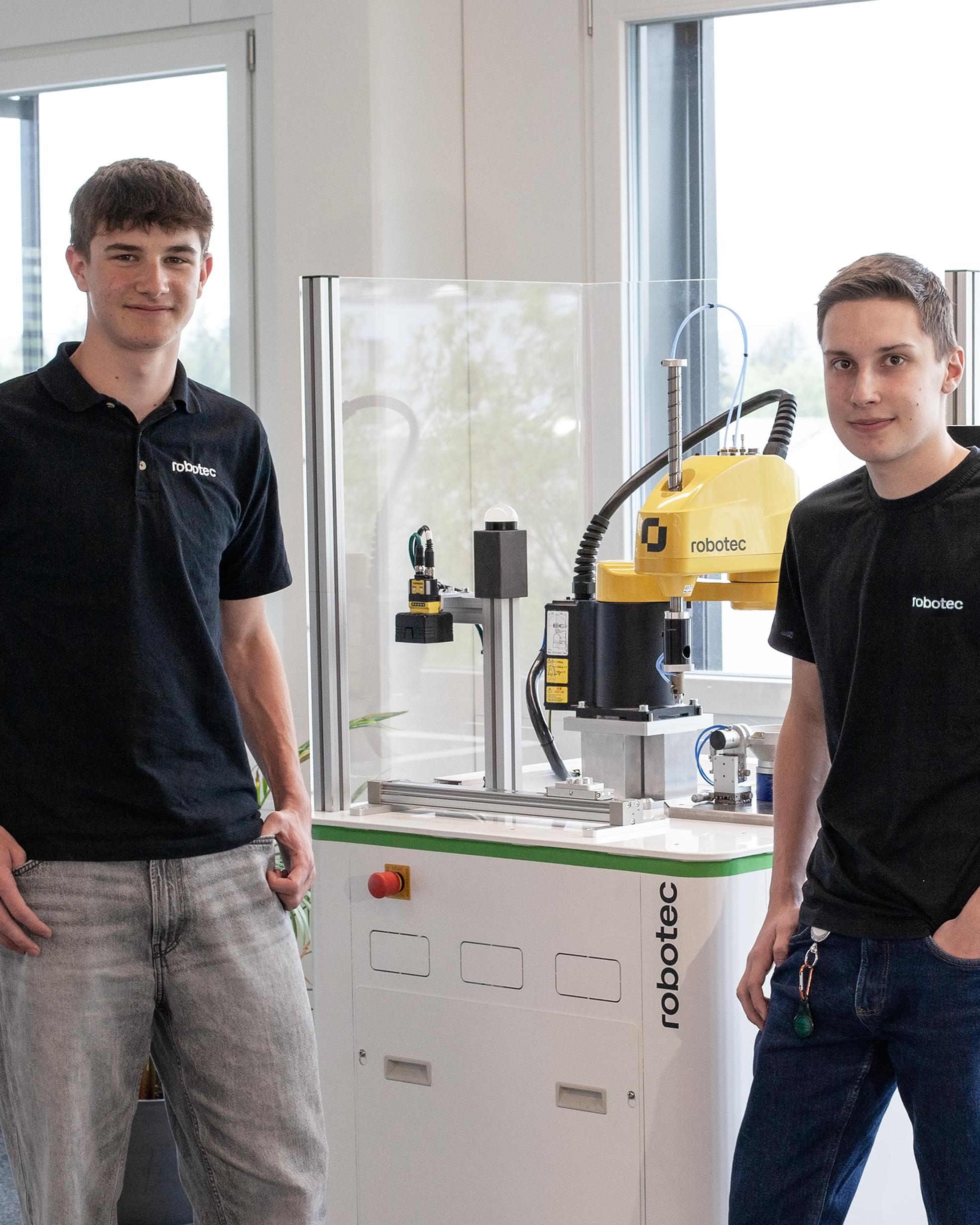Bild von Demozelle für schnelles Pick-and-place von Metallstiften